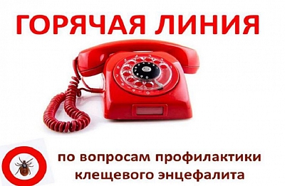 �������� ������ �� �������� ������������ ��������� ����������